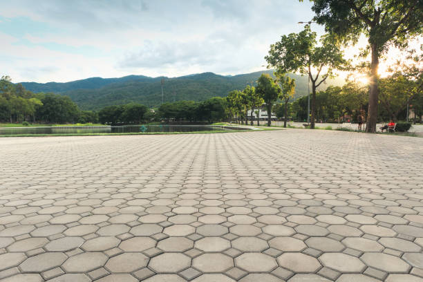 Best Driveway Paving Contractor  in Colonia, NJ